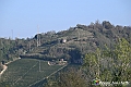 VBS_5749 - C'è un mare di velluto verde! E tu che sognavi di andare lontano... Quanta meraviglia, quì!